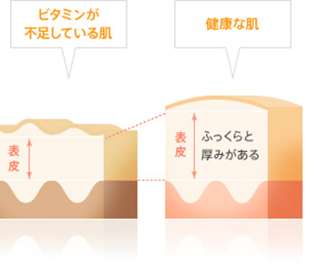 ビタミンAとビタミンCの役割